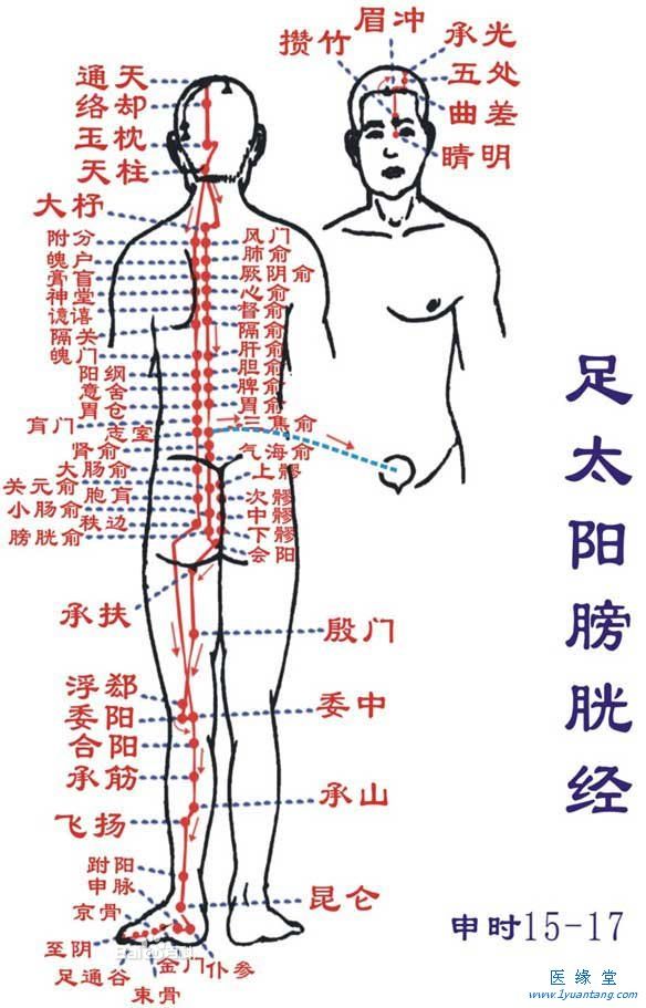 如何利用足太阳膀胱经“生命榴莲视频色污版”提精神，增加健康指数